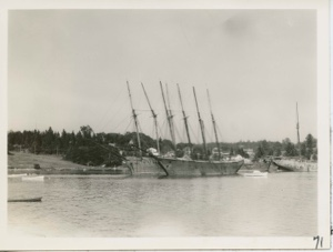Image of Four and five masted schooners
